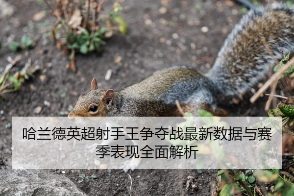 哈兰德英超射手王争夺战最新数据与赛季表现全面解析