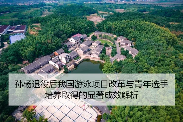 孙杨退役后我国游泳项目改革与青年选手培养取得的显著成效解析 | DAFA SPORTS